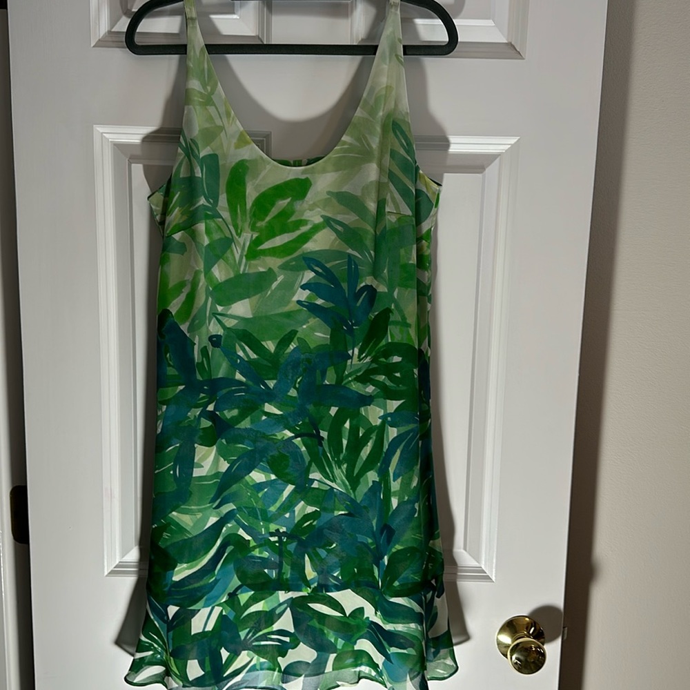 Cabi dress